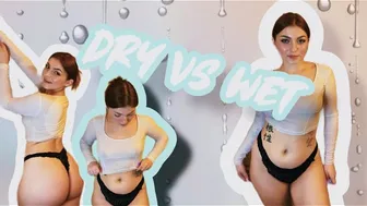 Transparent Clothes | Dry vs Wet Try-on Haul with Lisa