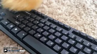 How to clean dirty keyboard #3