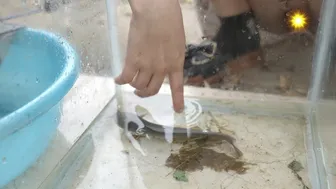 How to clean a glass aquarium? #1