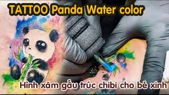 TATTOO Panda gấu trúc hình xăm water color | Lee Thành Đnai