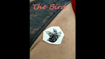 Temporary Tattoo: the Bird #1