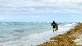 ♥️♥️♥️♥️ Sunny day at ♥️♥️♥️♥️♥️♥️♥️♥️♥️♥️ ♥️♥️♥️♥️♥️♥️♥️♥️♥️♥️ ♥️♥️ Bikini Beach walk !! #2