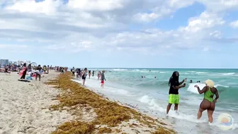 ♥️♥️♥️♥️ Sunny day at ♥️♥️♥️♥️♥️♥️♥️♥️♥️♥️ ♥️♥️♥️♥️♥️♥️♥️♥️♥️♥️ ♥️♥️ Bikini Beach walk !! #3