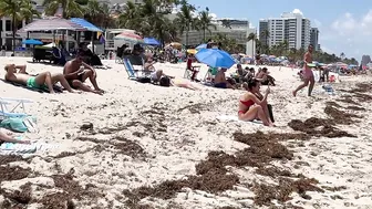 Fort Lauderdale Beach : You want to watch this #3