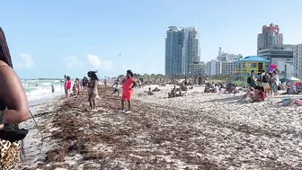 4K video South beach walking in MIAMI FLORIDA 2021 #4