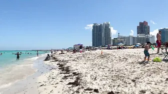 MIAMI Beach Walk South Florida USA 4k video Travel vlog #2