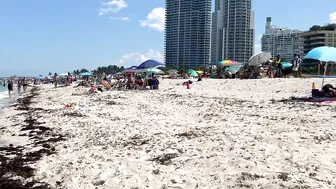 MIAMI Beach Walk South Florida USA 4k video Travel vlog #3